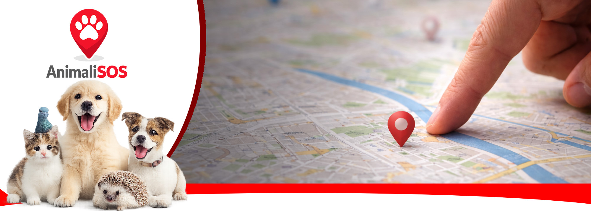 Centrale operativa AnimaliSOS